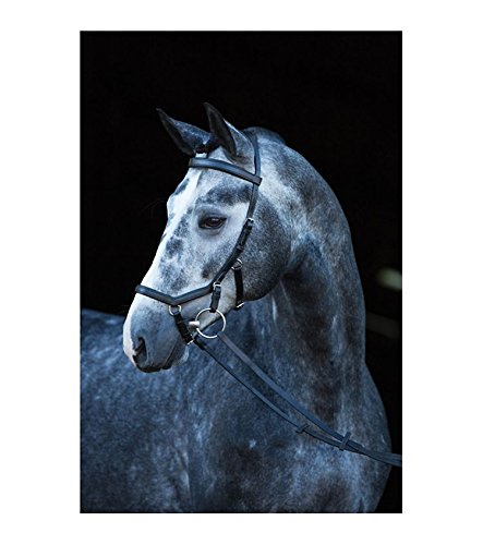 Horseware - Muserola de piel para caballo, hecha a mano negro negro Talla:Large Horse