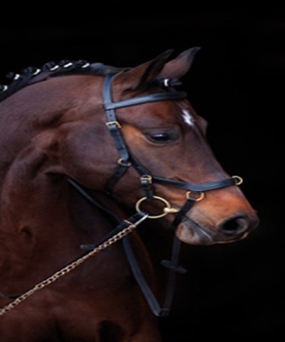 Horseware - Muserola de piel para caballo, hecha a mano negro negro Talla:Small Horse/Cob
