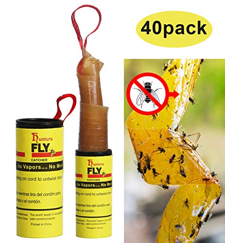 Hywean 40 Piezas de Papel Fly Catcher, Juego de Moscas de Frutas pegajosas para Interiores y Exteriores, Control de Moscas, Mosquitos y Otros Insectos voladores