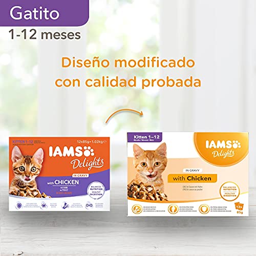 IAMS Delights Alimento húmedo en salsa, para gatitos con pollo, 12 x 85g