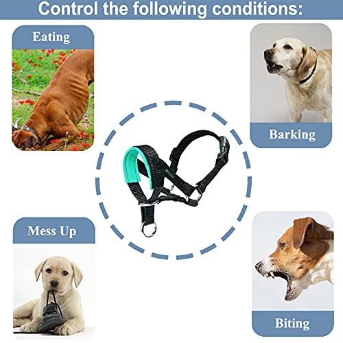 ILEPARK Cuello De Cabeza para Perros con Tela Acolchada, Cabestro de Cabeza para Perros, Regolabile Herramienta de Entrenamiento (S,Verde)