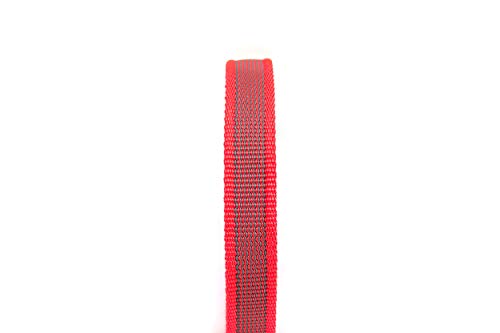 Julius-K9 Collar Color & Gray, 20 mm 27/42 cm, Rojo/Gris
