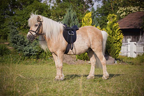Kerbl Sattelset Economy Pony, Color, 325415