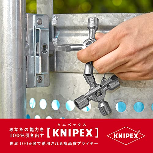 KNIPEX TwinKey Llaves para armarios de control para armarios y sistemas de paso estándar (92 mm) 00 11 01