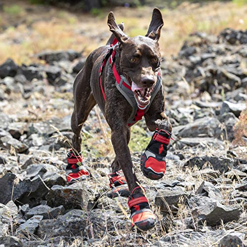 Kurgo Kurgo Blaze Cross botas para perro, zapatos para perros resistentes al agua, protectores de patas para todas las estaciones, botas de nieve reflectantes para perro, mediano, rojo/negro