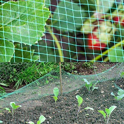 LATERN Verde Anti Pájaro Red, 4 X 10 M Red De Malla De Protección Vegetal para Estanques De Jardín para Frutas Y Verduras, con Bridas De Nylon De 100 Piezas, Clavijas De Sujeción De 20 Piezas