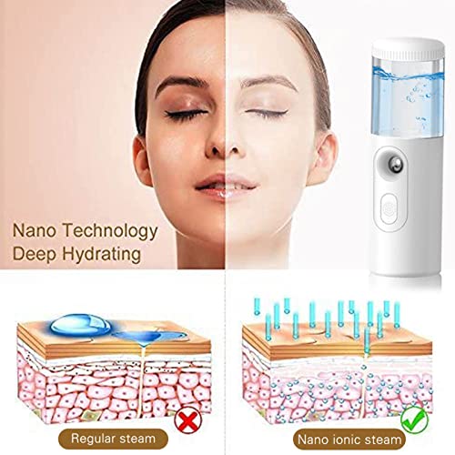 Lechnical N-ano F-acial Pulverizador de niebla de mano Máquina de herramientas de humectación facial Mini humidificador Frasco de agua de 30 ml Funciona con USB Batería recargable incorporada 200 mAh