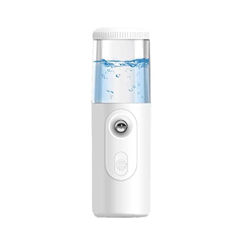 Lechnical N-ano F-acial Pulverizador de niebla de mano Máquina de herramientas de humectación facial Mini humidificador Frasco de agua de 30 ml Funciona con USB Batería recargable incorporada 200 mAh