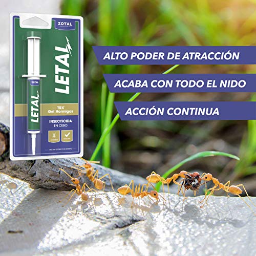 LETAL TRX Gel Insecticida Hormigas - Cebo Mata Hormigas 10 g para Uso Doméstico de Zotal - Elimina Colonias de Hormigas que se Alimentan de Azúcares, Evitando su Proliferación - Listo para Usar