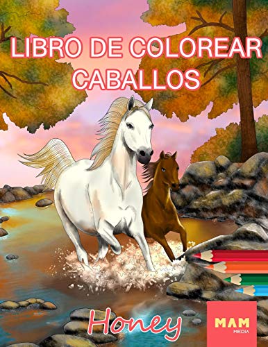 Libro de colorear caballos: Libro de colorear antiestrés