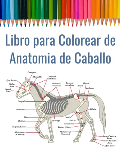 Libro para Colorear de Anatomia de Caballo: Cuaderno de Anatomía Equina para Colorear | Anatomía Veterinaria, incluye pie y dentición | Regalo para Estudiantes de la Escuela de Veterinaria