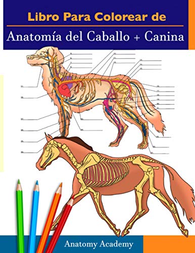 Libro para colorear de Anatomía del Caballo + Canina: 2-en-1 Compilación | Libro de colores de autoevaluación para estudiar muy detallado de Anatomía ... amantes de los animales y adultos