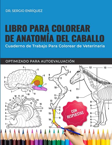 Libro para colorear de anatomía del caballo - Cuaderno de trabajo para colorear de veterinaria - Optimizado para autoevaluación: Libro para colorear ... estudiantes de veterinaria. Regalos, Presenta