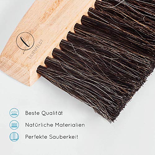 Lilienfeldt Premium - Escoba de mesa con recogedor (magnética, cepillo de mesa y pala, escoba de mano, escoba y escoba de madera)