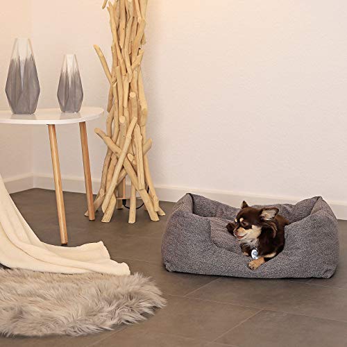 lionto by dibea Cama para perros con cojín reversible tela mezcla cómodo sofá (S) 60x50 cm Gris