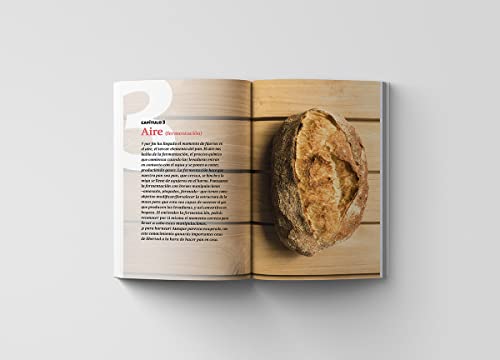 Los elementos del pan: Todo lo que necesitas saber para hacer un buen pan en casa