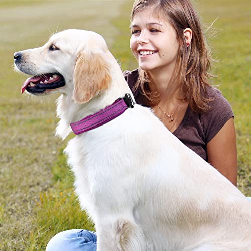 MASBRILL Collar de Perro Duradero y Reflectante, Ajustable Collar para Perros Grandes o Pequeños, Fabricado de Nylon con Suave Acolchado (Morado S)