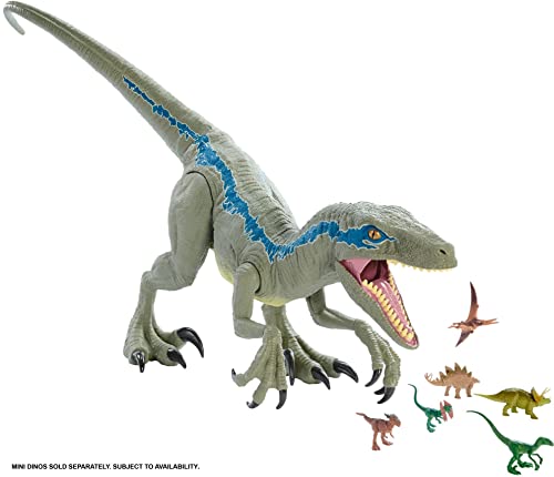 Mattel - Jurassic World Velocirráptor Blue Supercolosal, Dinosaurio de Juguete (Mattel GCT93)