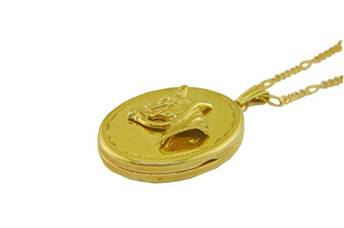 Medallón de oro amarillo de 9 quilates con cabeza de caballo