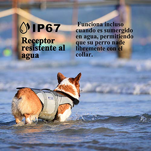 Meloive Collar adiestramiento para Perros,Collar antiladridos,Recargable y Resistencia al Agua de IP67 con un Alcance de 800m con 99 Niveles de Modo de Vibración, Advertencia de Sonido, Luz.