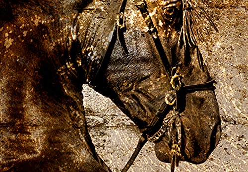murando Cuadro en Lienzo Dorado Caballo 120x80 cm 1 Parte Impresión en Material Tejido no Tejido Impresión Artística Imagen Gráfica Decoracion de Pared - Animales Semental Dorado g-C-0369-b-a