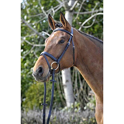 Muserola Large 1001 Waterford – stübben- negro caballo