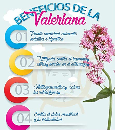 Naturmil Valeriana 180 comprimidos 500 mg pack (90+90), sin azúcar, sin lactosa, sin gluten, sin soja, apto para veganos, formulado sin el uso de conservantes