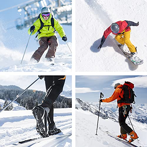 NZEROWAX - Cepillo de Crin de Caballo para Mantenimiento de Esquís y Tablas Snowboard 12x8cm
