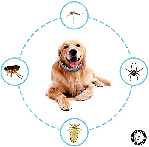 ONE PET ONE LIFE- Collar Antiparásitos Perros, Collar Pulgas, Garrapatas y Mosquitos. Tamaño Ajustable Mascota Pequeña Mediana Grandes Collares Leishmania,Natural.