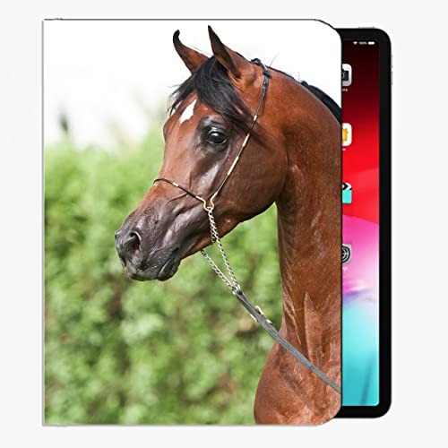 para iPad Case FIT 2018/2017 iPad 9.7 6ª / 5ª generación, Equipo de la Boca del Caballo 5987 Caja de la Cubierta Delgada para iPad 9.7 Pulgadas