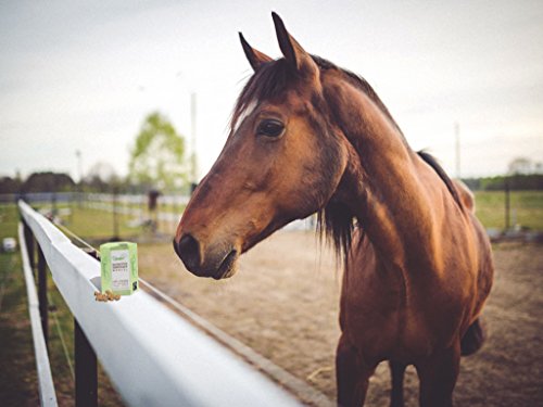 Pasalus Cubo de azúcar de caña de caballo para aliviar la ansiedad, el estrés y la ansiedad, para torneos y entrenamiento o viajes.