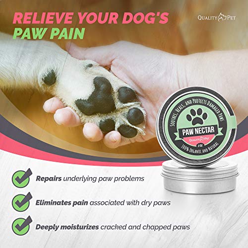 Paw Nectar - Bálsamo para Las Almohadillas de los Perros - 100% biológico - Crema para Las Patas de los Perros - Cuida y Protege Las Patas de los Perros