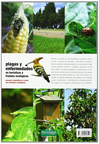Plagas y enfermedades en hortalizas y frutales ecológicos: prevenir, identificar y tratar con métodos ecológicos: 18 (Guías para la Fertilidad de la Tierra)