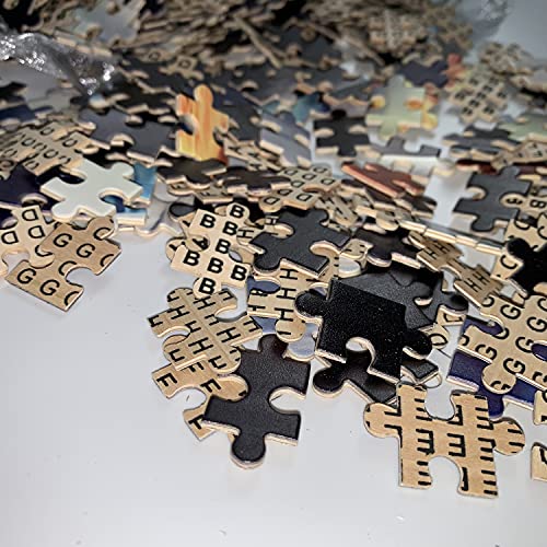 Puzzle 300 Piezas,Puzzle de Madera para Adultos,Vidrio Arquitectónico Domo Puzzle,Rompecabezas Imposible