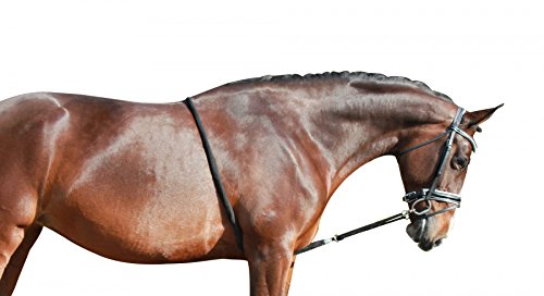 QHP Cuerda de algodón suave para caballo, para entrenamiento de equitación