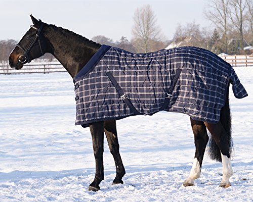 QHP Manta para establo (300 g, relleno de rayas, cuello de forro polar, manta para la cola, invierno 2017, 145 cm, cuadros azules)