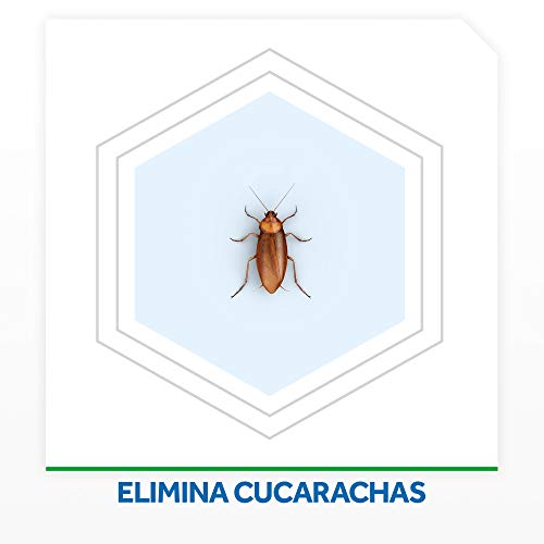 Raid ® Cebos - Trampas anticucarachas. Elimina cucarachas, nidos y huevos. Incluye 6 cebos