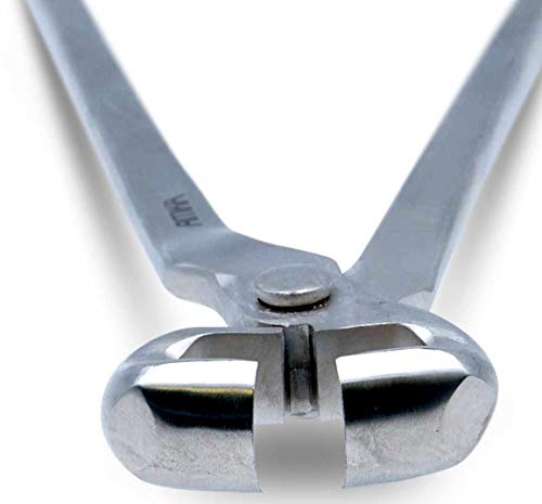 Reitsport Amesbichler AMKA - Alicates de corte para pezuñas con mordazas semicirculares especiales, punta oblicua 12 y 31 cm, acero inoxidable 12