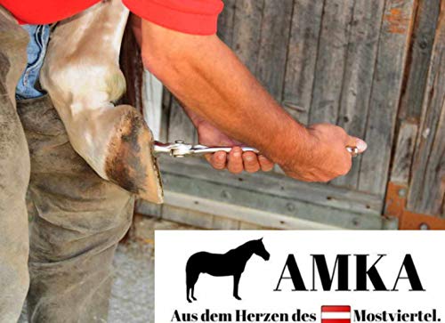 Reitsport Amesbichler AMKA - Alicates para cortar pezuñas (15 unidades, acero inoxidable)