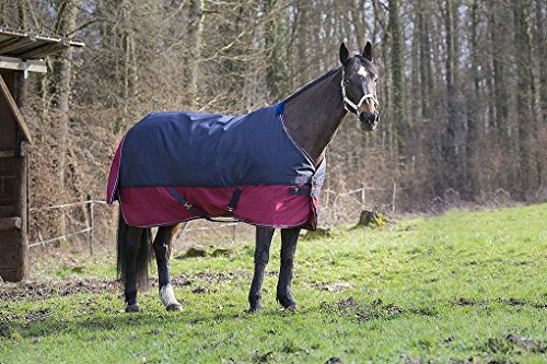 Reitsport Amesbichler Tyrex Equiteme - Manta para caballos (1200 Denier, relleno de 150 g, impermeable, transpirable, correas cruzadas, protector para la cola, 150 cm)