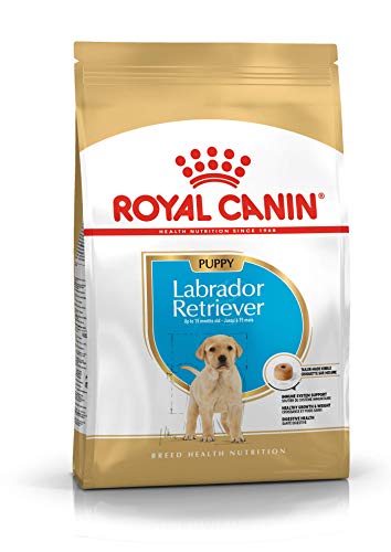 Royal Canin C-08912 S.N. Labrador Junior - 12 Kg