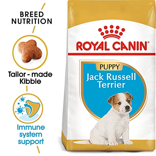 ROYAL CANIN Jack Russell Terrier Junior - 1500 gr