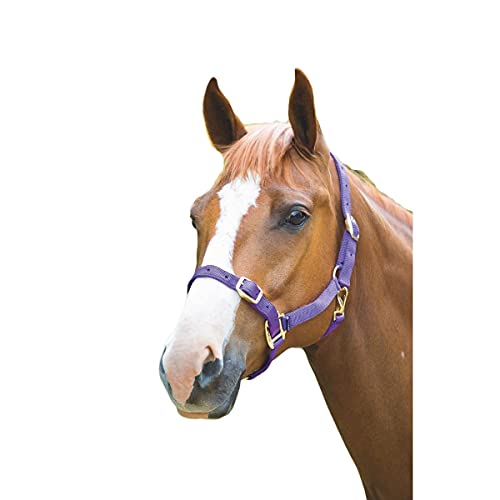 Shires Collares de cabeza de nylon - 384B Small Pony Navy