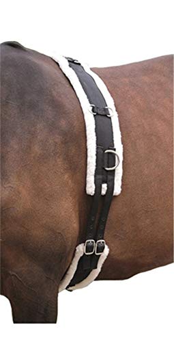 Shires - Correa para caballos (con forro, nailon) negro negro Talla:Horse