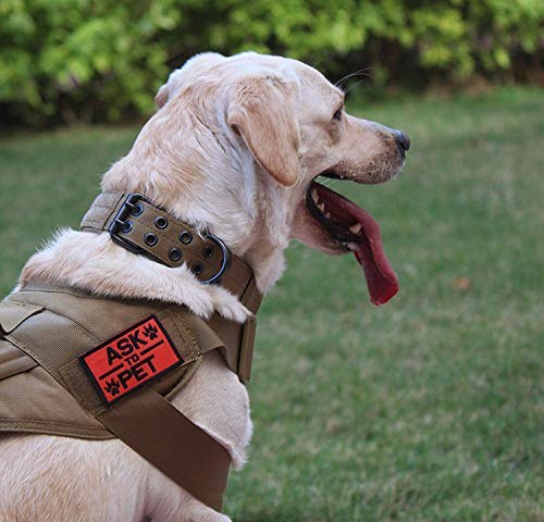 S.Lux Collares de Perro de Nylon, Anti-Desgaste Entrenamiento táctico al Aire Libre Cinturones de Perro de led Collar de Perros Grandes Negro Verde Marrón Collar para tu Perro (Caqui, M)