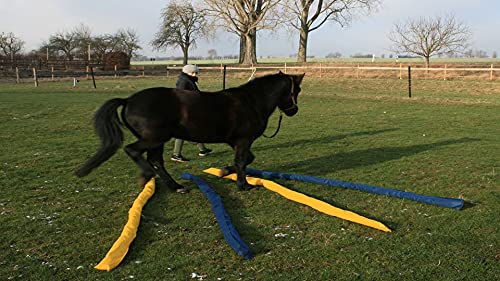 Snowhill – de ayuda para caballos, azul & amarillo, 4 unidades., 3 m de largo, caballos, directividad de camino de formación, Suelo Trabajo Obstáculos, Obstáculos de barras