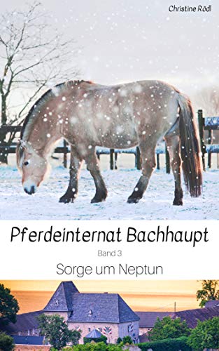 Sorge um Neptun (Pferdeinternat Bachhaupt 3) (German Edition)