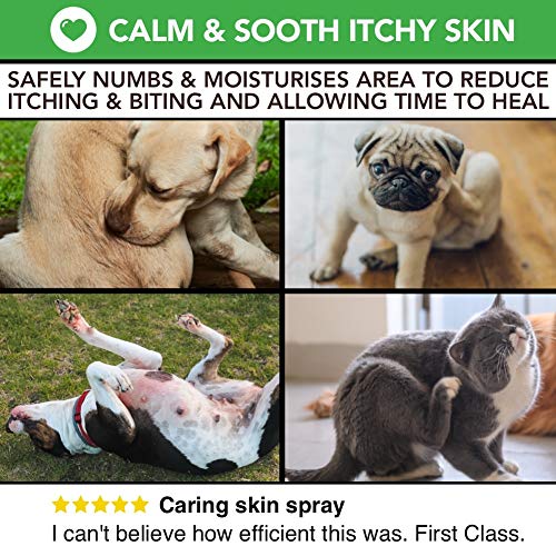 Spray completamente natural para el cuidado de la piel con comezón y de heridas para perros y gatos | Alivio de la comezón y cuidado de la piel | Tratar la picazón, la piel agrietada y las heridas