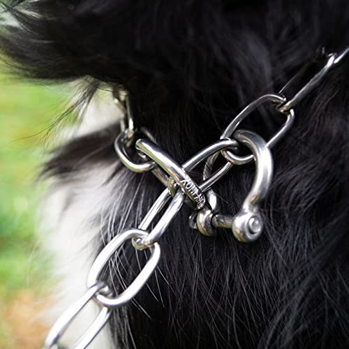 Sprenger - Collar para perros con gancho (grille) para limitar la tira, de acero inoxidable, collar para perros de pelo corto y largo, collar de 45 cm