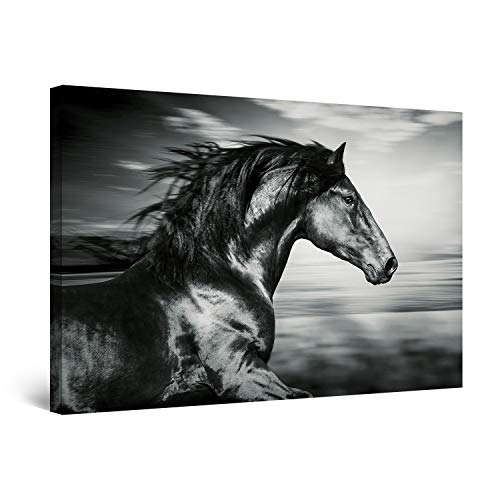 Startonight Cuadro Moderno en Lienzo - Caballo Negro Corriendo - Pintura Animales para Salon Decoración Grande 80 x 120 cm